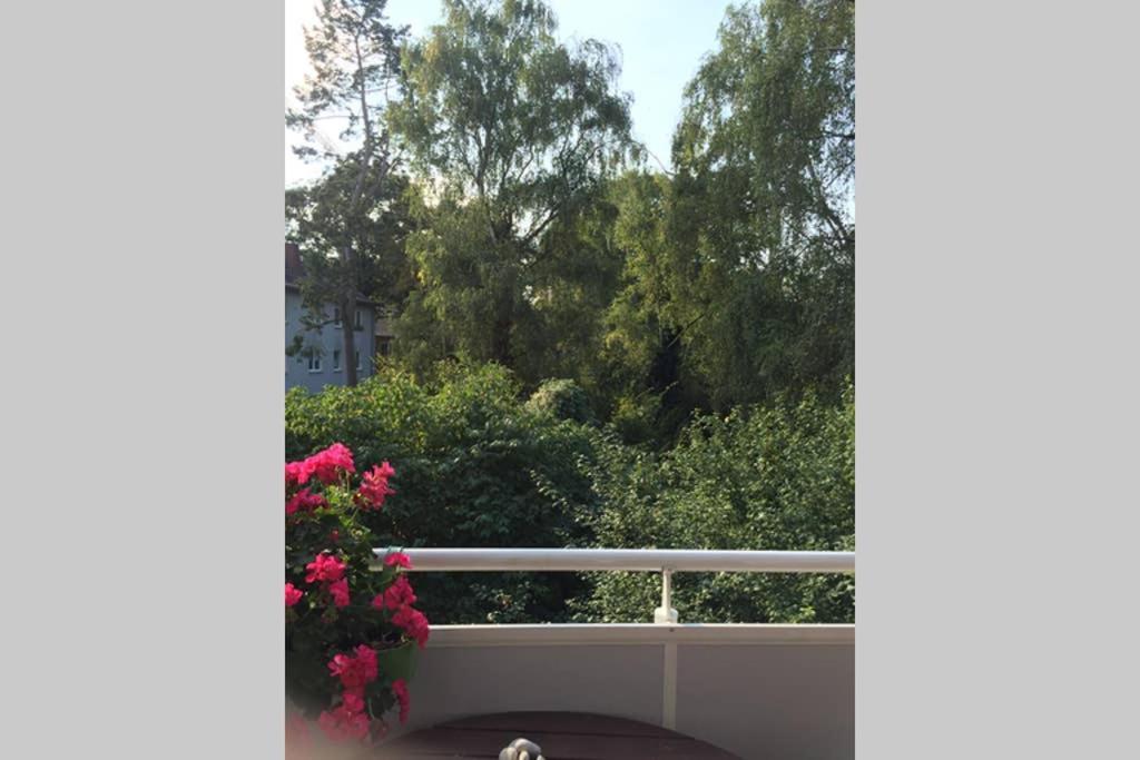 bahnhofsnahe, ruhige und sonnige 2 Zimmerwohnung im Dichterviertel  Wiesbaden Exterior foto